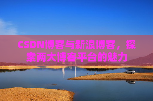 CSDN博客与新浪博客，探索两大博客平台的魅力